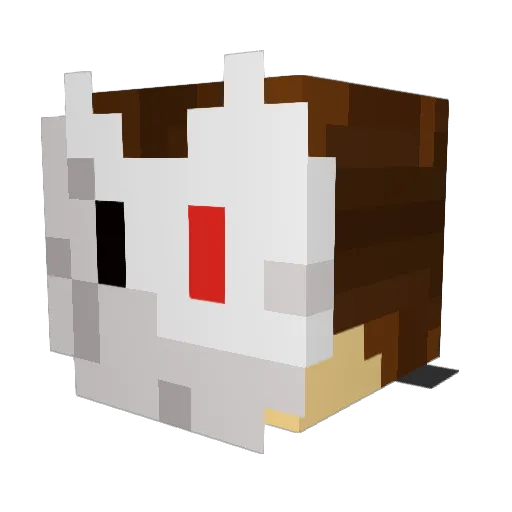 Turtlefriendz Minecraft avatar head, 3D render