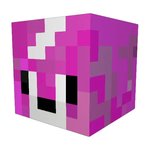Turtlelito Minecraft avatar head, 3D render