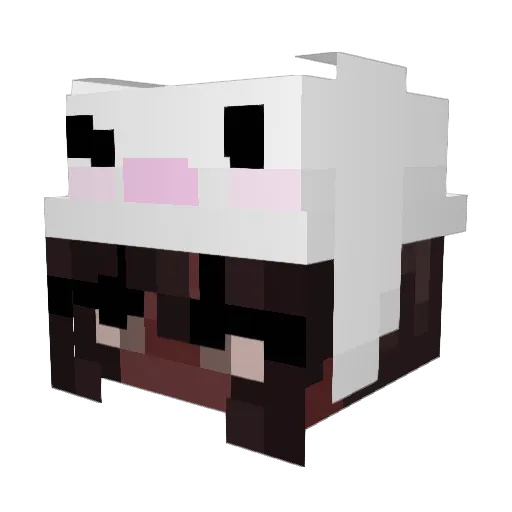 Turtlenareff Minecraft avatar head, 3D render