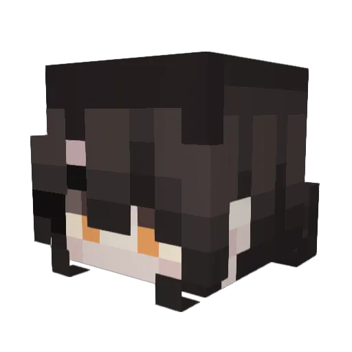 Turtleoverlord08 Minecraft avatar head, 3D render