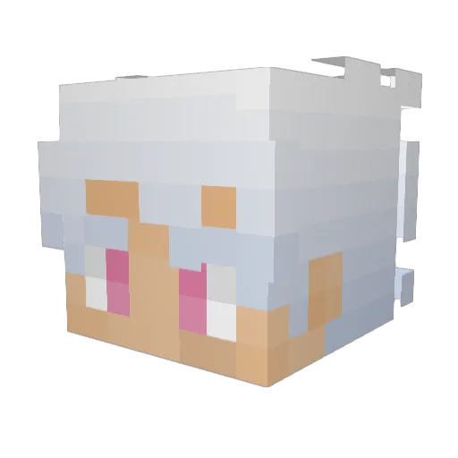TurtleplaysMC1 Minecraft avatar head, 3D render