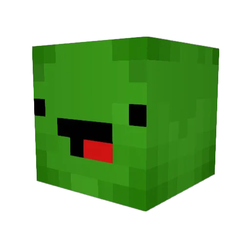 TurtleplaysMC Minecraft avatar head, 3D render