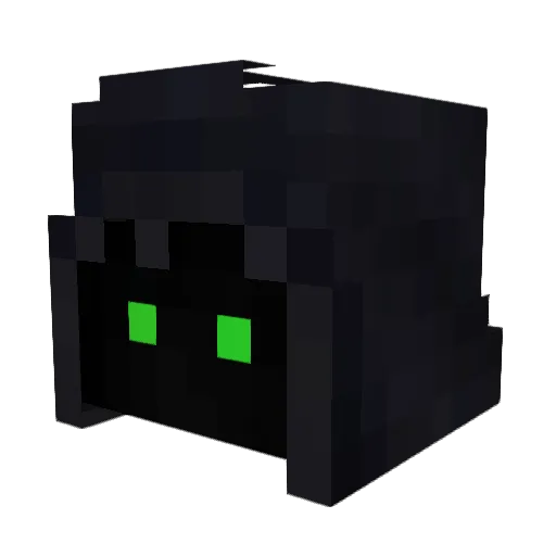 Turtles343 Minecraft avatar head, 3D render