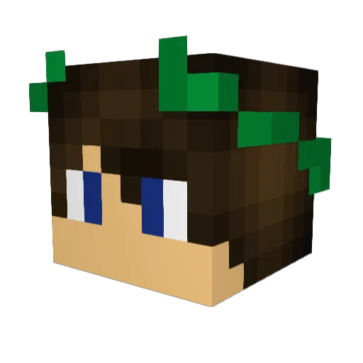 Turtles952 Minecraft avatar head, 3D render