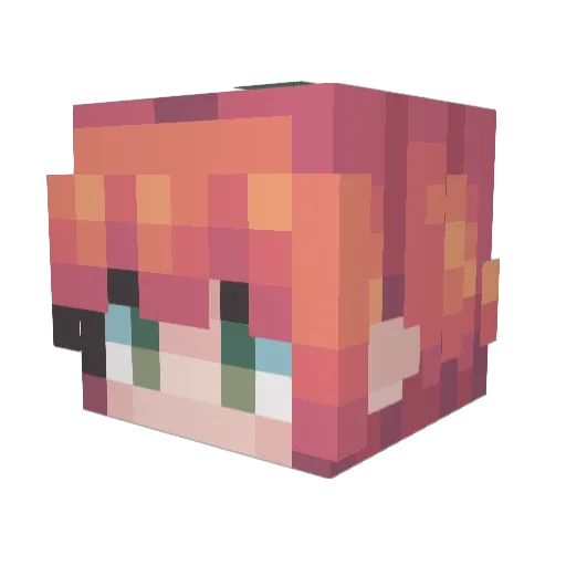 TurtlesMyGuy Minecraft avatar head, 3D render