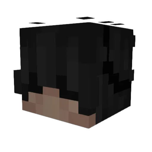 TurtlesWillDie Minecraft avatar head, 3D render
