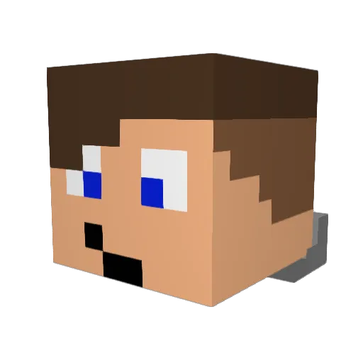 Turtlesareggooo Minecraft avatar head, 3D render