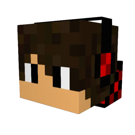 Turtlesforlife Minecraft avatar head, 3D render