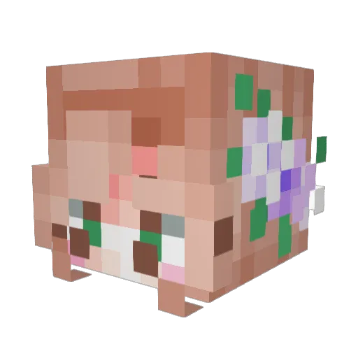 Turtleshelll5 Minecraft avatar head, 3D render
