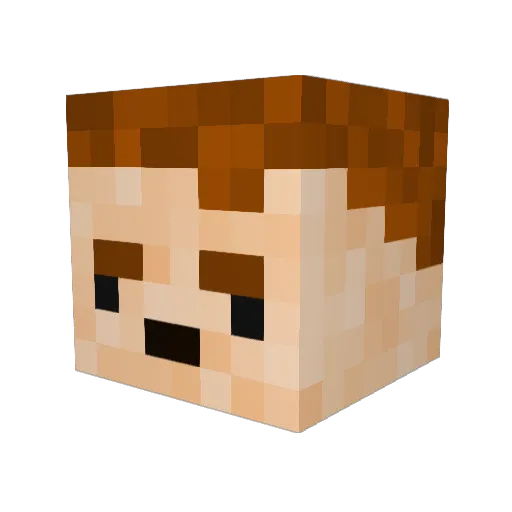 Turtlesnoobie Minecraft avatar head, 3D render