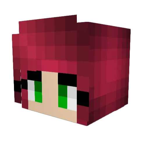 Turtlesp5000 Minecraft avatar head, 3D render