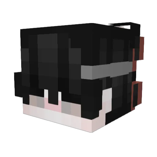 Turtlesssgod Minecraft avatar head, 3D render