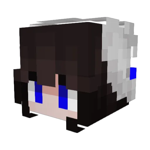 Turtletory Minecraft avatar head, 3D render