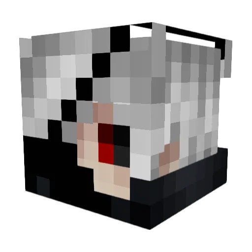TurtlezClub Minecraft avatar head, 3D render