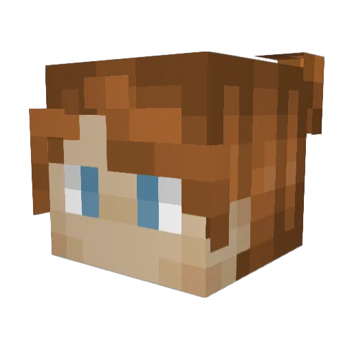 Turtlezz__ Minecraft avatar head, 3D render