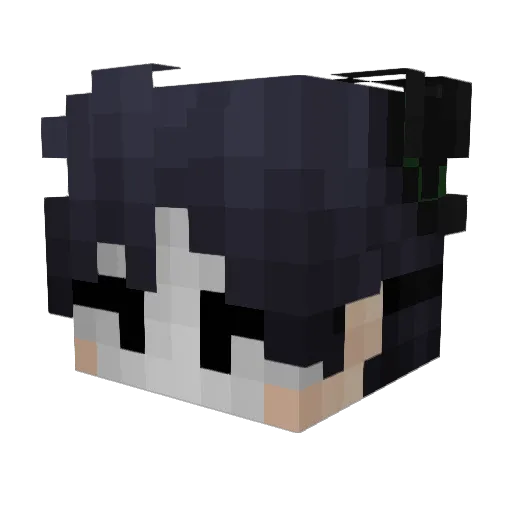 Turtlous Minecraft avatar head, 3D render