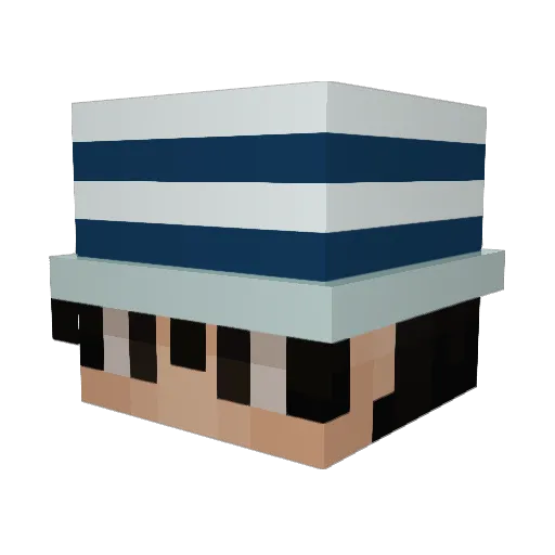 Turtot Minecraft avatar head, 3D render