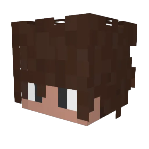 Turttttt Minecraft avatar head, 3D render