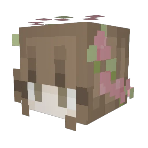 Turtwig24 Minecraft avatar head, 3D render