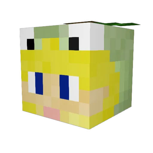 Turtwig_50 Minecraft avatar head, 3D render