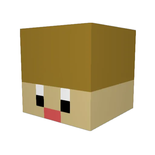 Turwin69 Minecraft avatar head, 3D render