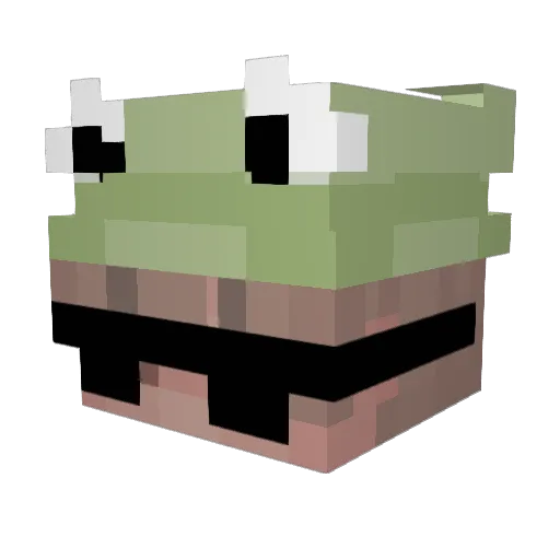 TurzlePlays_ Minecraft avatar head, 3D render