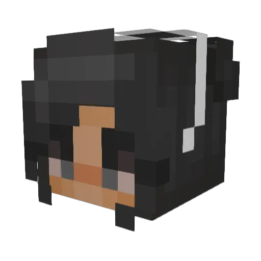 TuskWalrus Minecraft avatar head, 3D render