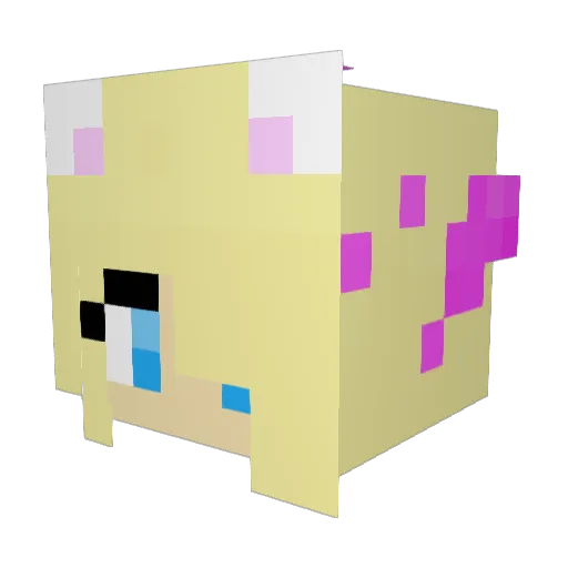 TussalCoffee24 Minecraft avatar head, 3D render