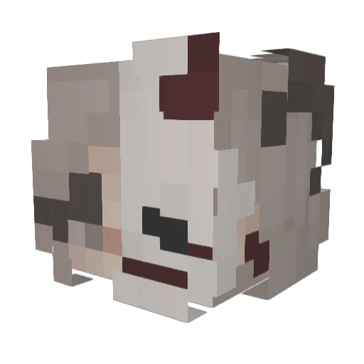 TustaJroll Minecraft avatar head, 3D render