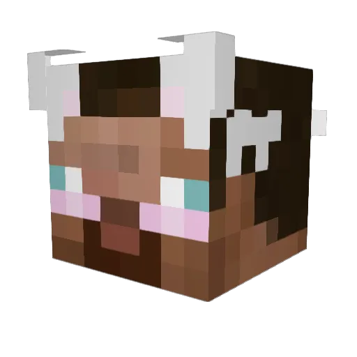 Tusviq Minecraft avatar head, 3D render
