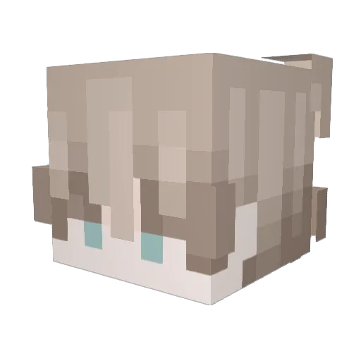 Tutor84 Minecraft avatar head, 3D render