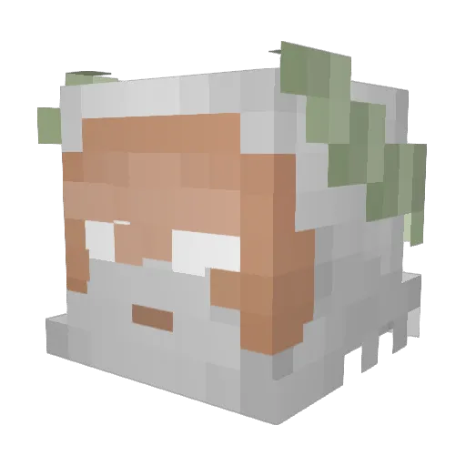 Tuttosseus Minecraft avatar head, 3D render