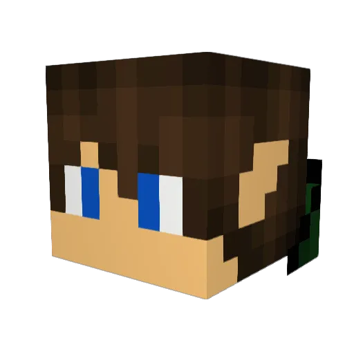 Tuttue Minecraft avatar head, 3D render