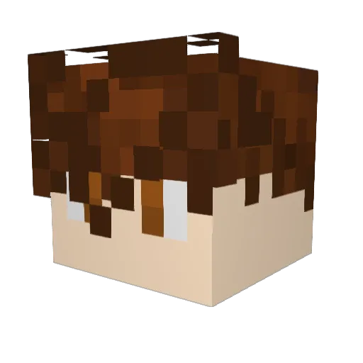 Tuukkam1 Minecraft avatar head, 3D render
