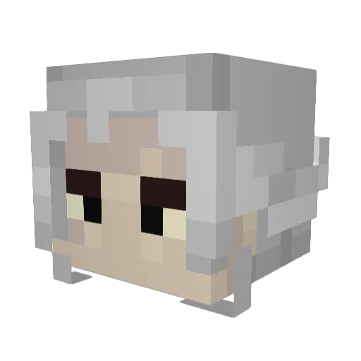 Tuuy00 Minecraft avatar head, 3D render