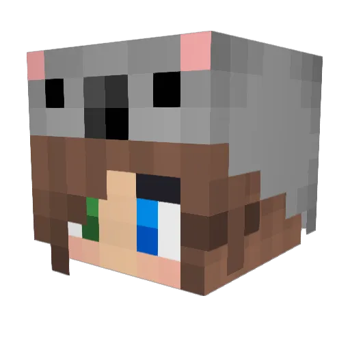 Tuvex Minecraft avatar head, 3D render