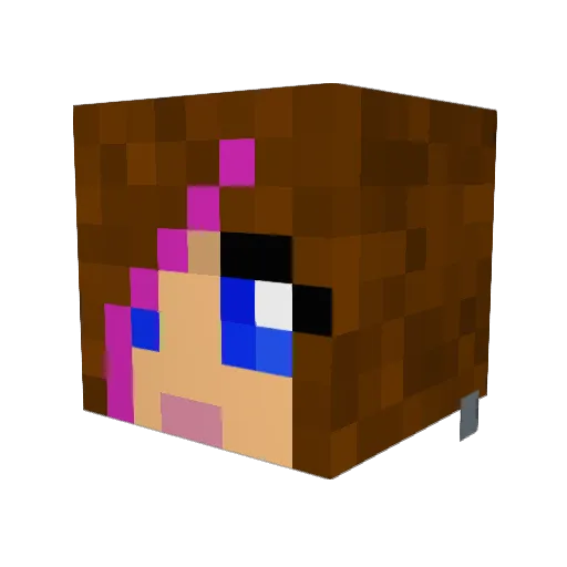 Tuvsor Minecraft avatar head, 3D render