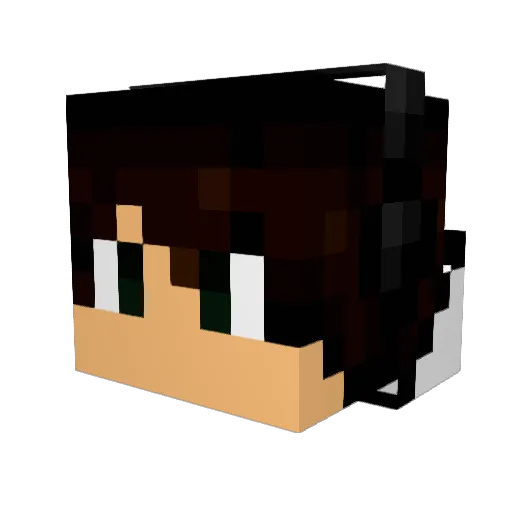 TvIsTicK Minecraft avatar head, 3D render