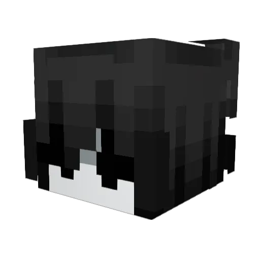 Tvfr Minecraft avatar head, 3D render