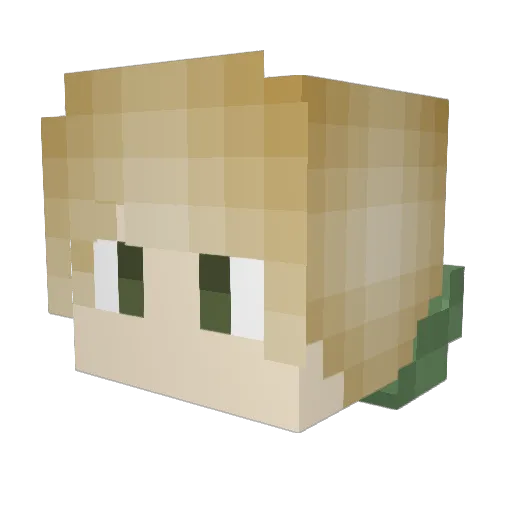 Tvrtle_ Minecraft avatar head, 3D render