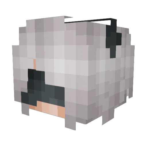 Tvx20 Minecraft avatar head, 3D render