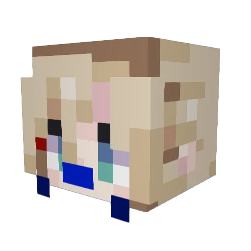 Tw0ster Minecraft avatar head, 3D render