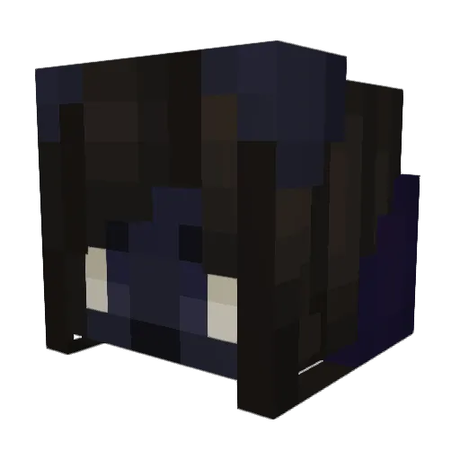 Tw3LL Minecraft avatar head, 3D render