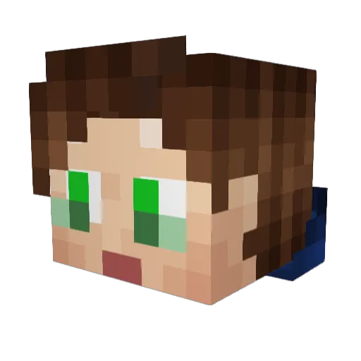 TwShadowNinja Minecraft avatar head, 3D render