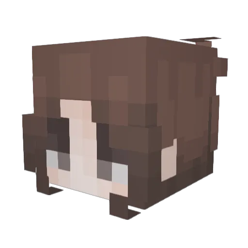 Tw_Bud Minecraft avatar head, 3D render
