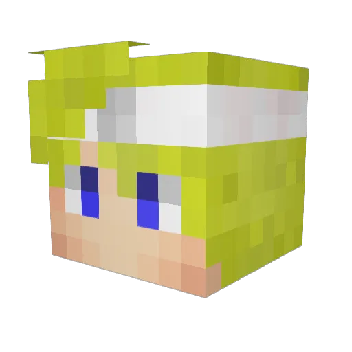 Tw_PoloThePanda Minecraft avatar head, 3D render