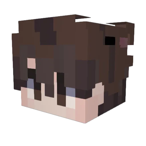 Twa7 Minecraft avatar head, 3D render