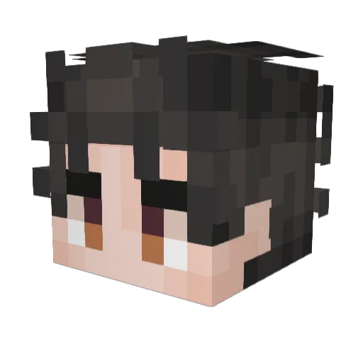 TwaceS Minecraft avatar head, 3D render