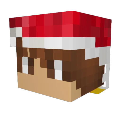 Twan2308 Minecraft avatar head, 3D render