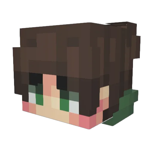 TwanTastic Minecraft avatar head, 3D render